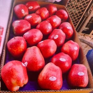 PREMIUM KASHMIR APPLES