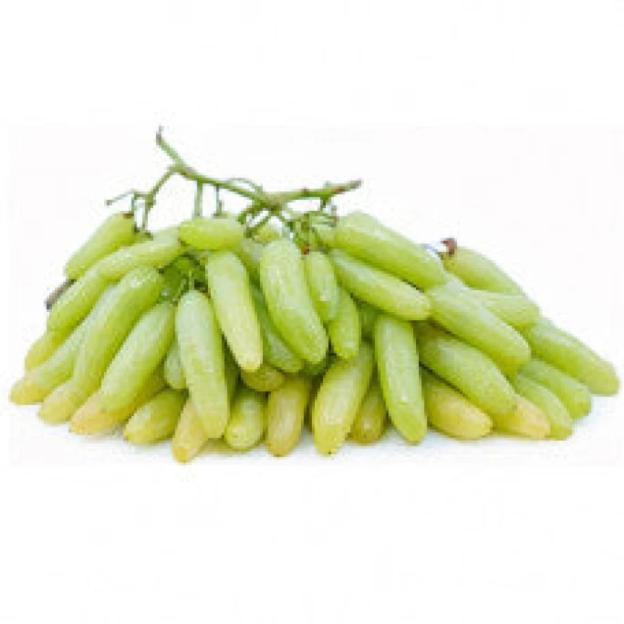 Green Grapes (Indian)